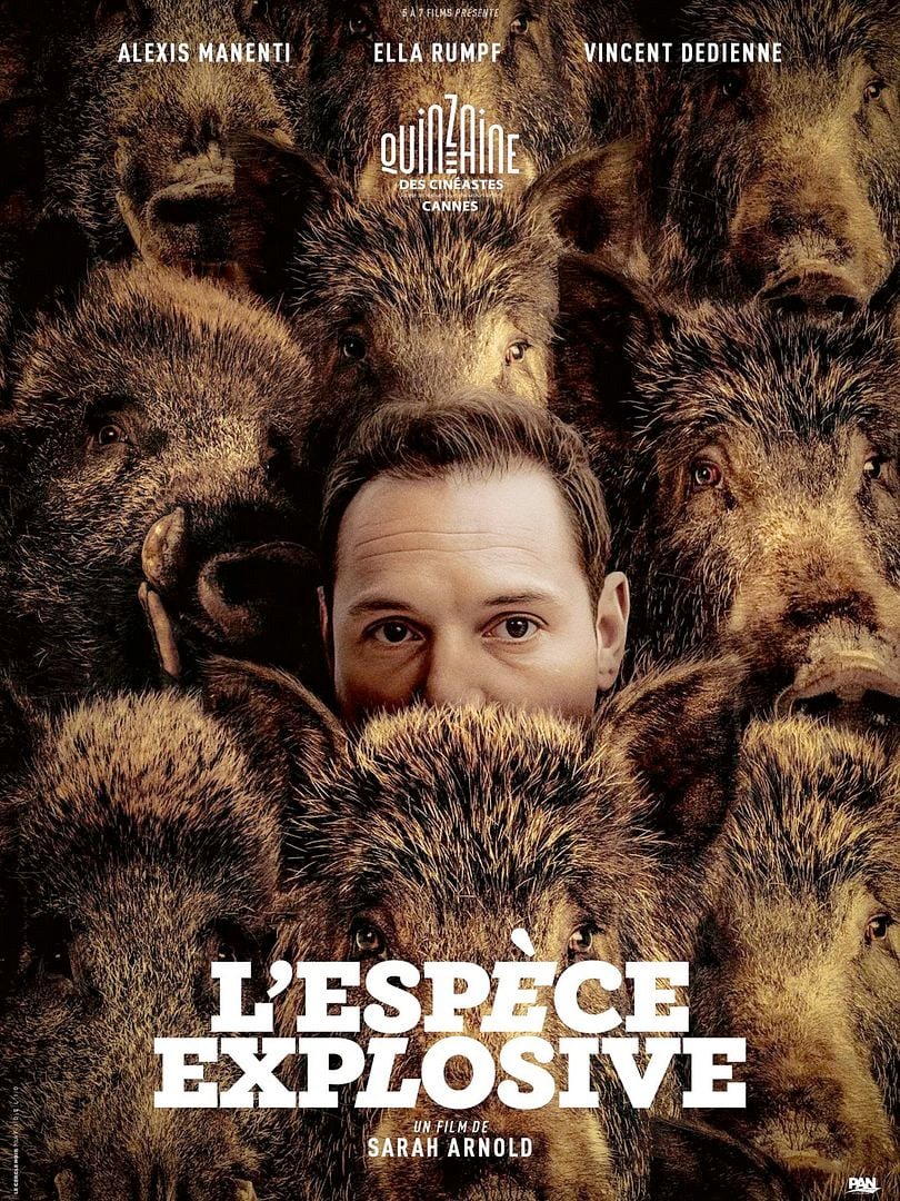 Affiche de L&rsquo;espèce explosive